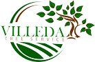 Villeda Tree Service  | Los Angeles  tree care